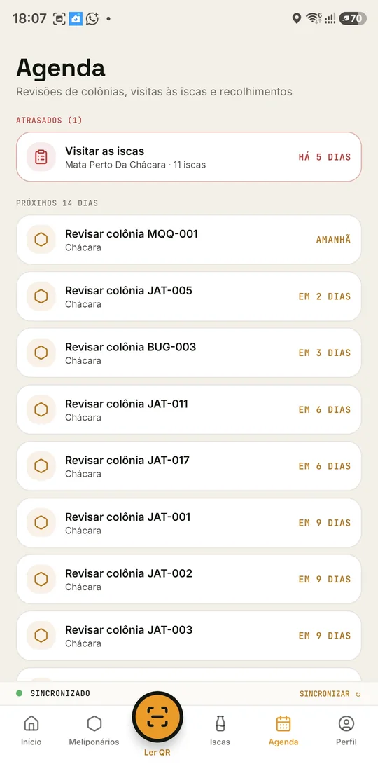 Aba Agenda com revisões atrasadas e próximos dias