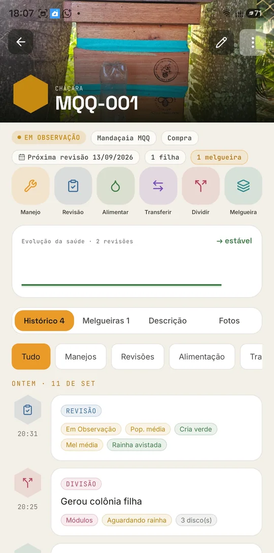 Tela de uma colônia no Beeya