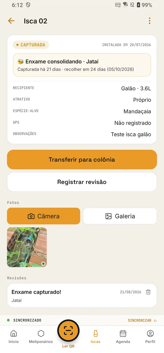 Detalhe de uma isca capturada
