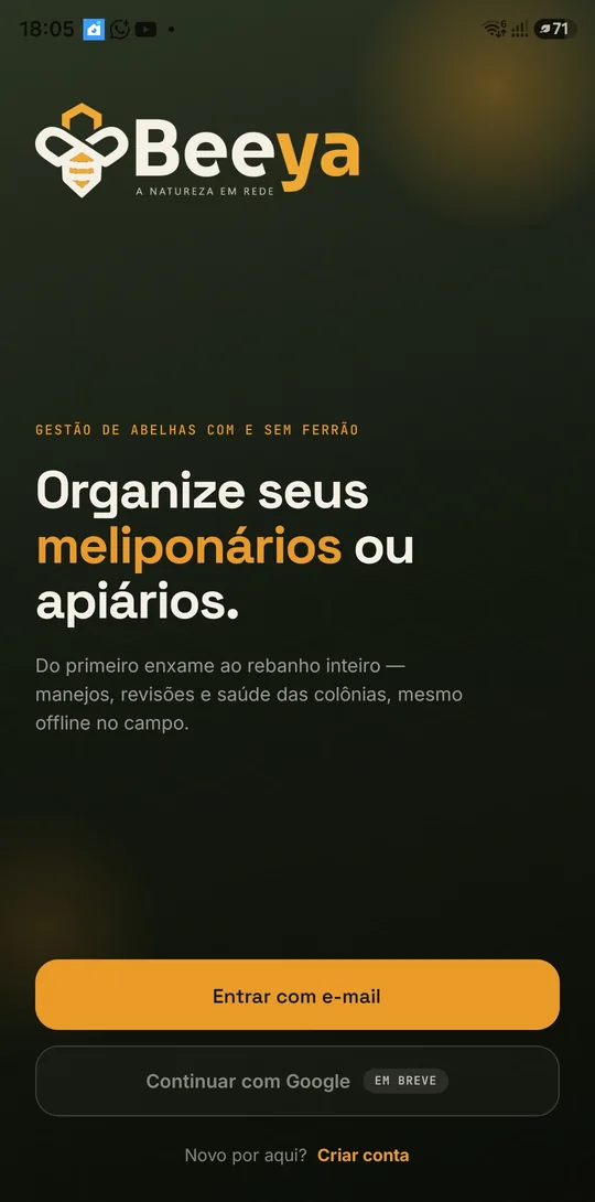 Tela de entrada