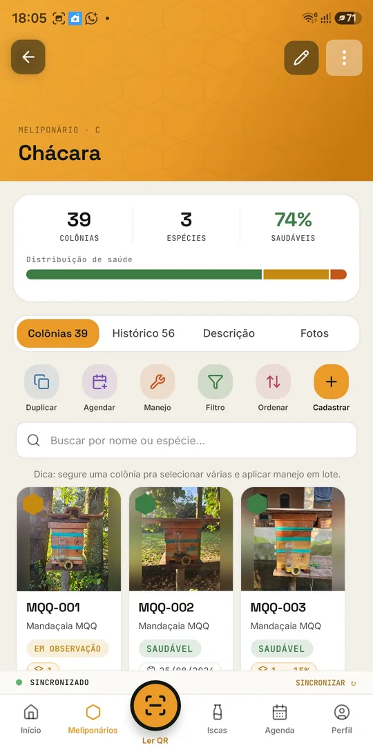 Detalhe do meliponário