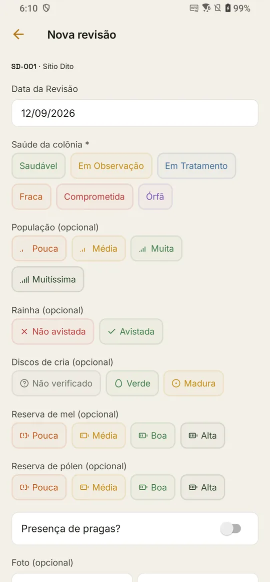 Formulário de nova revisão